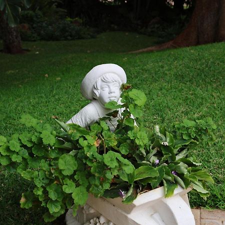 The Victorian Manor Bed & Breakfast Victoria Falls Ngoại thất bức ảnh