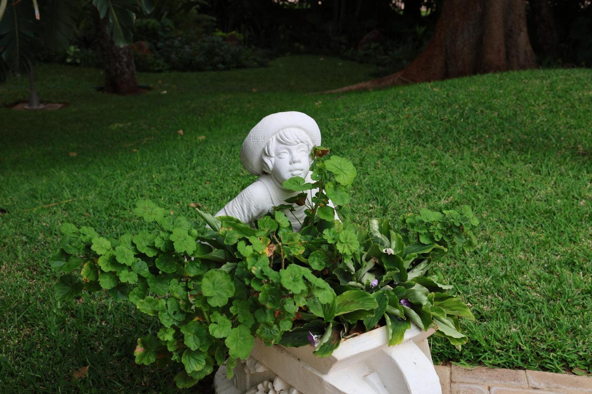 The Victorian Manor Bed & Breakfast Victoria Falls Ngoại thất bức ảnh